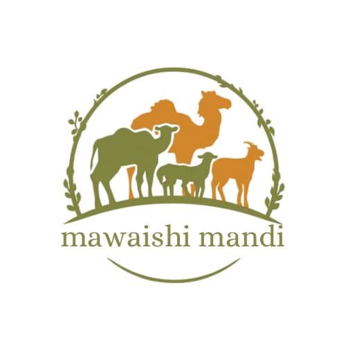 Mawashi Mandi